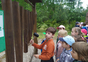 Dzieci poznają jakie dźwięki może mieć drewno